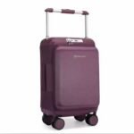 Valise 20kg original